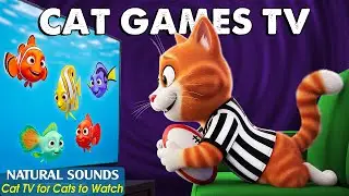 Ultimate CAT TV - Cat Games on Screen to Prevent Boredom for Cats Home Alone - Best Videos for Cats