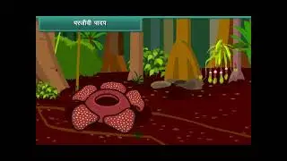 Nutrition in Plants
