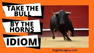Take The Bull By The Horns - Idiom | Common English Idioms | Business English & Everyday Vocabulary