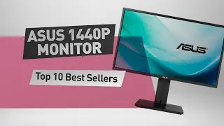 Asus 1440p Monitor Top 10 Best Sellers