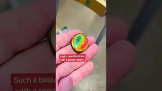 #Ammolite is such a #beautiful stone with a special #history behind it! 🌈🕰️🏞️ #facts #historyfacts