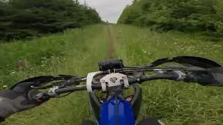 Exploring Singletrack at Capitol Forest: Part 3