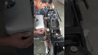 Fitting of Dikki in HF - Deluxe