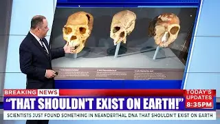 Scientists Just Found Something in Neanderthal DNA That Shouldn&rsquo;t Exist on Earth