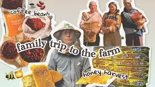 A Day at our Coffee farm || Harvesting Coffee & Honey 🍯 😋