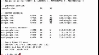 Domain Information Groper ( Dig ) Basics
