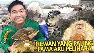 SEMUA HEWAN YANG PALING LAMA AKU PELIHARA! GAK NYANGKA PELIHARA DARI KECIL TAPI UDAH SEBESAR INI!