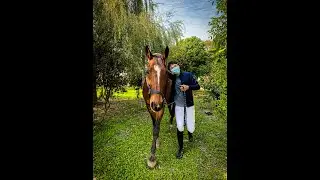TAIWAN | Riding horses | Equestrian ＃騎馬 ＃馬術