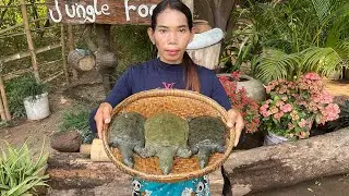 Turtle Soup Recipe | How to cook turtle
