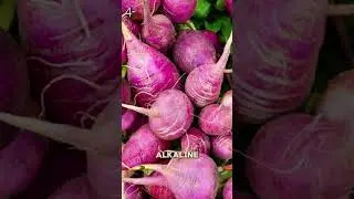 10 Health Benefits Of Turnips #health #turnips