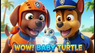 Baby Sea Turtle's Dangerous Wrong Turn! 🐢 Junior Rescue Team to the Rescue