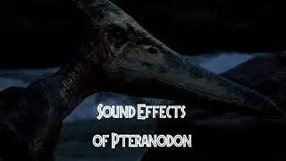 Jurassic Park /// - Pteranodon Sound Effects