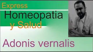 Adonis vernalis, Homeopatia y salud express
