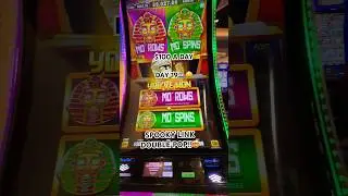 DAY 19!!🎰🤑 #casino #slotscasinogames #slot #gambler #slots #slotmachine #bonus #jackpot #winner