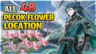 Fastest Route To All 48 Pecok Flowers Location | Wuthering Waves