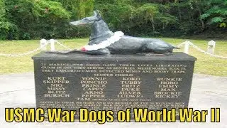 USMC War Dogs of World War II - GunCalendars.com - July 21st