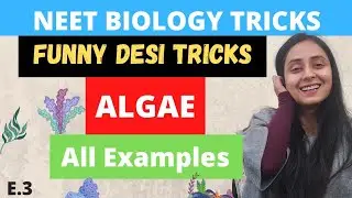 NEET BIOLOGY : SHORT TRICKS | ALGAE | All NCERT Examples