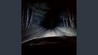 Vard&oslash;ger