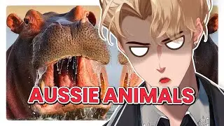 ARACHNAPHOBE reacts to AUSTRALIAS most DANGEROUS ANIMALS - AGAIN | @moreparz  REACTION