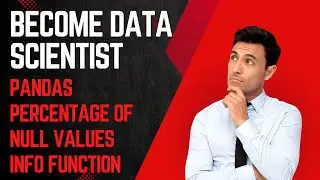 Python Pandas Info() function - Check Percentage of Non Null values and data type of each column