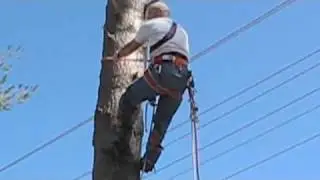Work (bk amputee)