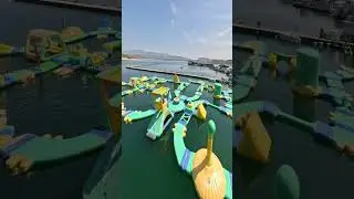 Check out Scorpion Bay Marina!