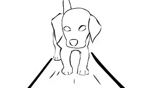 Animal Morphing Animation