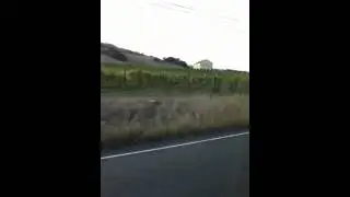 Day Off 1: Driving in Sonoma