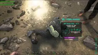 Ark How and Why to Tame a Dodo