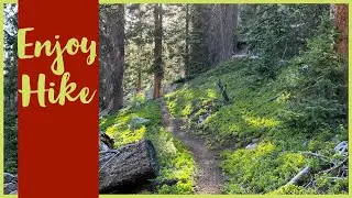 Tag 76 🥰 Enjoy Hike 😅 CDT 2022 german 🇩🇪 Continental Divide Trail 🇺🇸