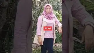 Obat Pelangsing Badan ,Teh Pelangsing Badan ZQ Slimtea Penurun Berat Badan 14 Kg
