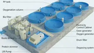 #RAS#Recirculating_Aquaculture_System#Fish_Farming#Sustainable_Aquaculture#Biofilter#Water_Reuse