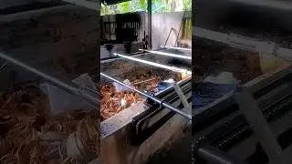 mesin guling babi otomatis