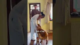 The day the dog stole my GF...
