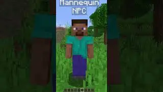 NPC DUMMYS in Minecraft! Snapshot 25w36a