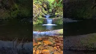 TravelingLeons XXXXII highlight