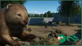 Common Wombat habitat | Eastbrook Wildlife Park | Ep 2 | franchise mode