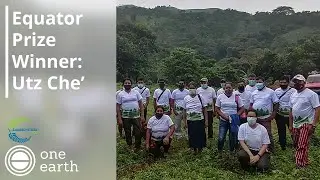 Utz Che&rsquo; | Equator Prize Winners 2020 | One Earth