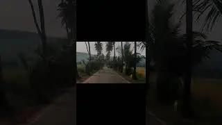 Goa Parra Road❤️🌴#parraroad#goa#goavibes#vibes#trip#enjoy#life#travel#trending#viral#traveling#love