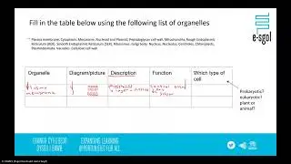 AS Biology Recap Session