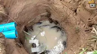 Simple Eel Trap using PVC Pipe