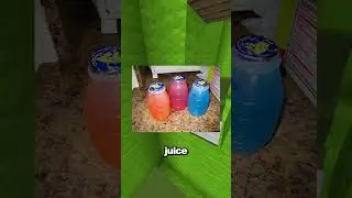 Nostalgia From The Early 2000's You Forgot About