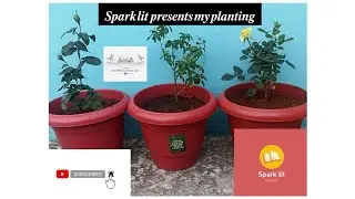 Spark Lit Presents - Garden Planting | In Independence Day | 💫❣️🇮🇳 | Aug-15