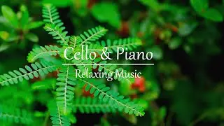GOOD MORNING MUSIC - Happy and Positive Energy - Soft Piano & Cello Music For Stress Relief