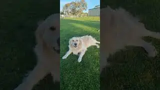 Quick Park Run with Chloe | Blue Tag Rope & Big Smiles