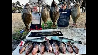 Pacific Ocean 40 lb Limit of California Halibut