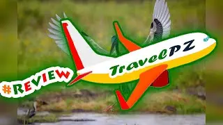 「TravelPZ」 Review Jumping Crocodile Cruise Tour &ndash; Adelaide River Wildlife