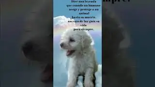 Camino al cielo