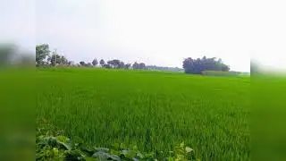 হজরত মুশফিক আহমাদ (রহঃ), এর বয়ান, esa1