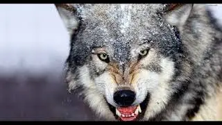 Action Trailer Intro | Aggressive Powerful Cinematic Music For Films and Media